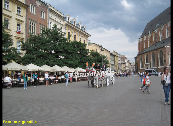 CRACOVIA (163)