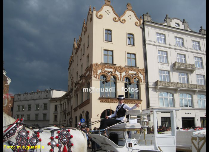 CRACOVIA (164)