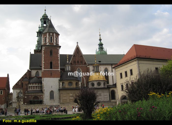 CRACOVIA (267)