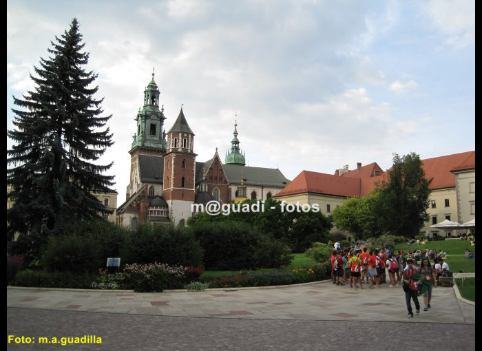 CRACOVIA (271)