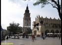 CRACOVIA (155)