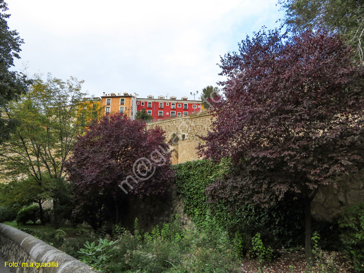 CUENCA (605) Parque de la Trinidad