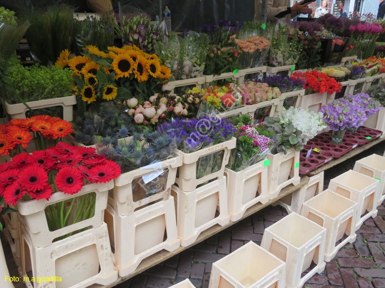 DELFT (236) Cl Burgwal mercado flores