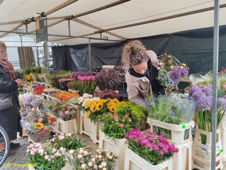 DELFT (241) Cl Burgwal mercado flores