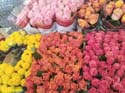 DELFT (248) Cl Burgwal mercado flores