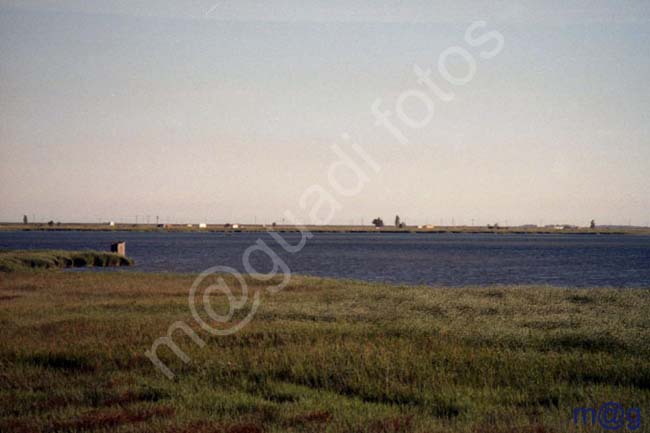 DELTA DEL EBRO 002