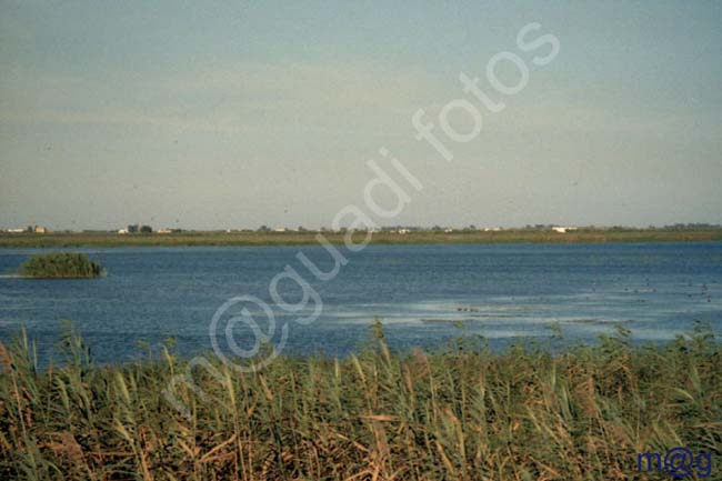 DELTA DEL EBRO 003