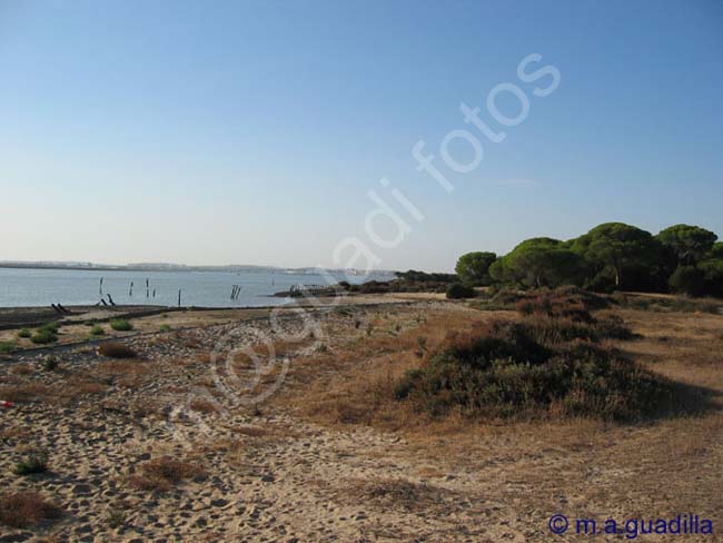 DOÑANA 012