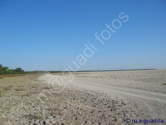 DOÑANA 021