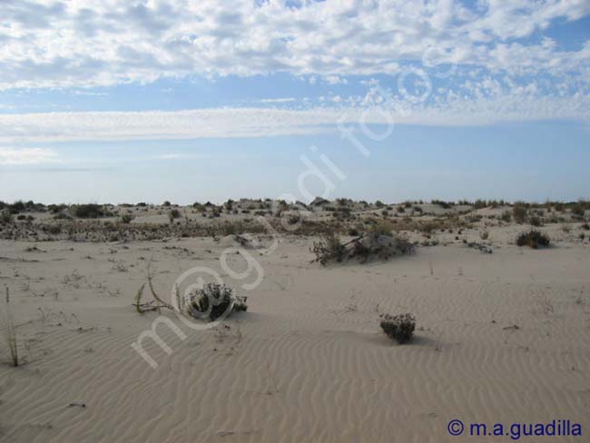 DOÑANA 029