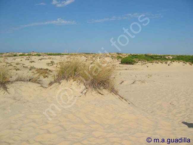 DOÑANA 035