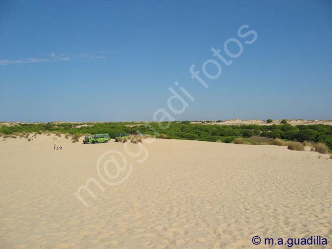 DOÑANA 037