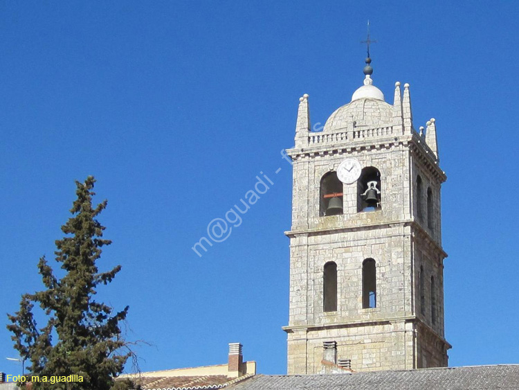 Dueñas (157) Iglesia de Santa Maria de la Asuncion