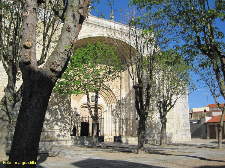 Dueñas (160) Iglesia de Santa Maria de la Asuncion