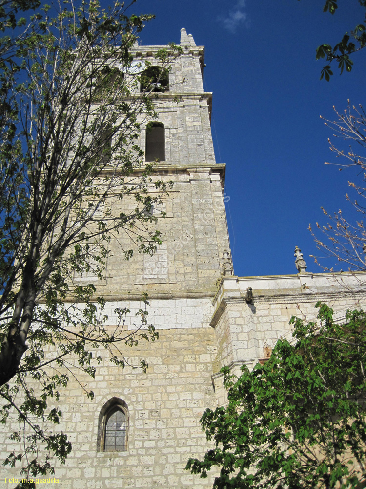 Dueñas (176) Iglesia de Santa Maria de la Asuncion