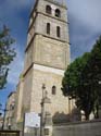 Dueñas (178) Iglesia de Santa Maria de la Asuncion