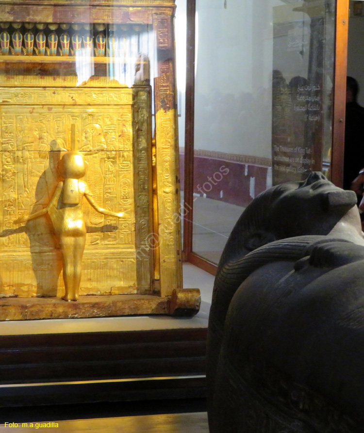 EL CAIRO (190) Museo Egipcio