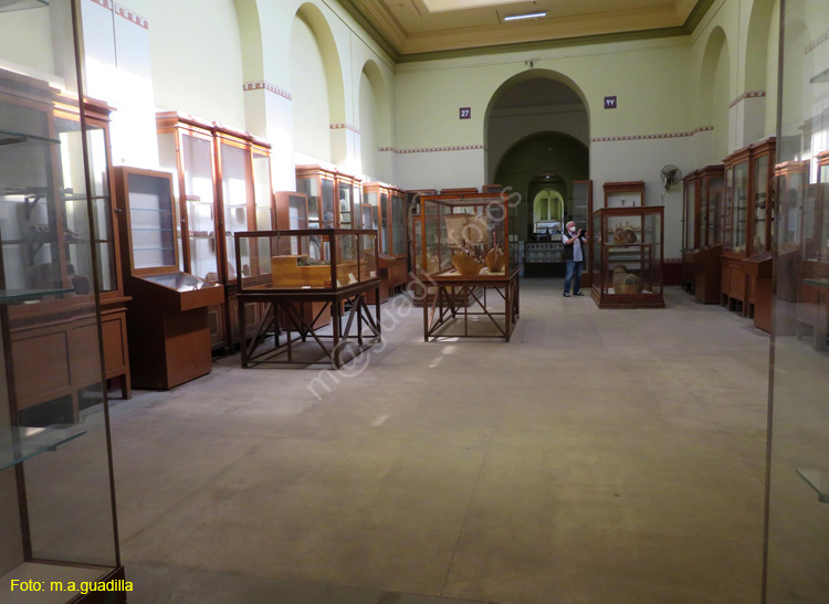 EL CAIRO (206) Museo Egipcio