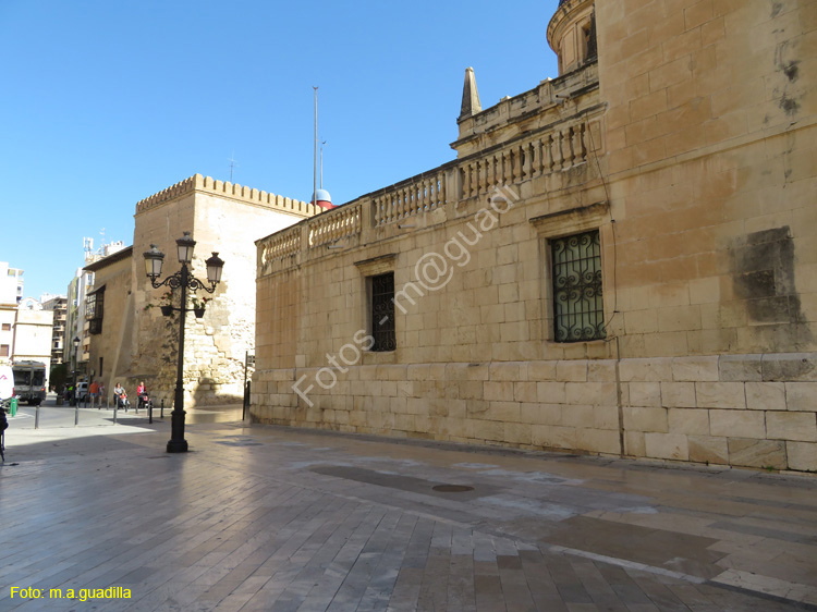 ELCHE (110) Torre de Calahorra