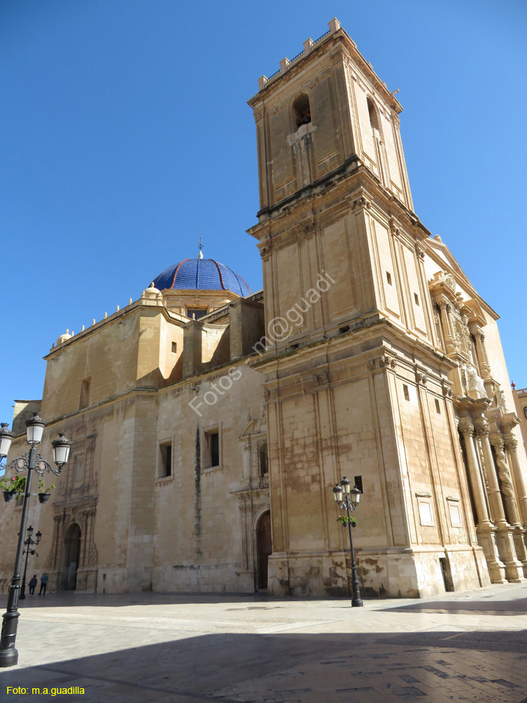 ELCHE (116) Basilica de Santa Maria