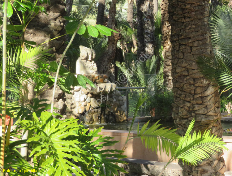 ELCHE (173) El Palmeral