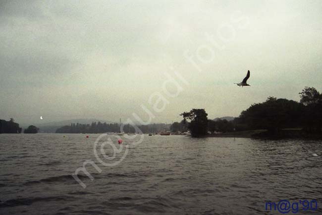 ESCOCIA - LAGO LOMMOND 002