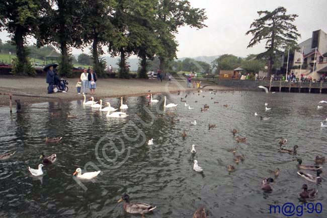 ESCOCIA - LAGO LOMMOND 003