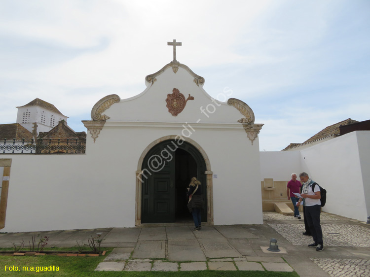 FARO (127) Catedral
