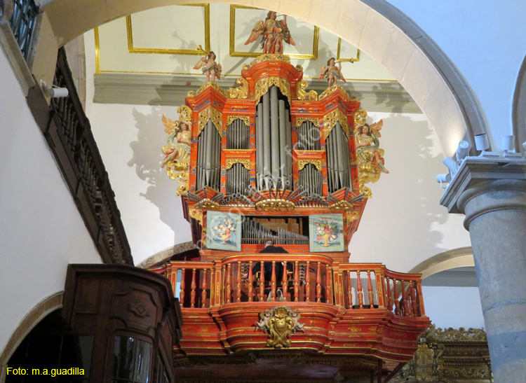 FARO (134) Catedral