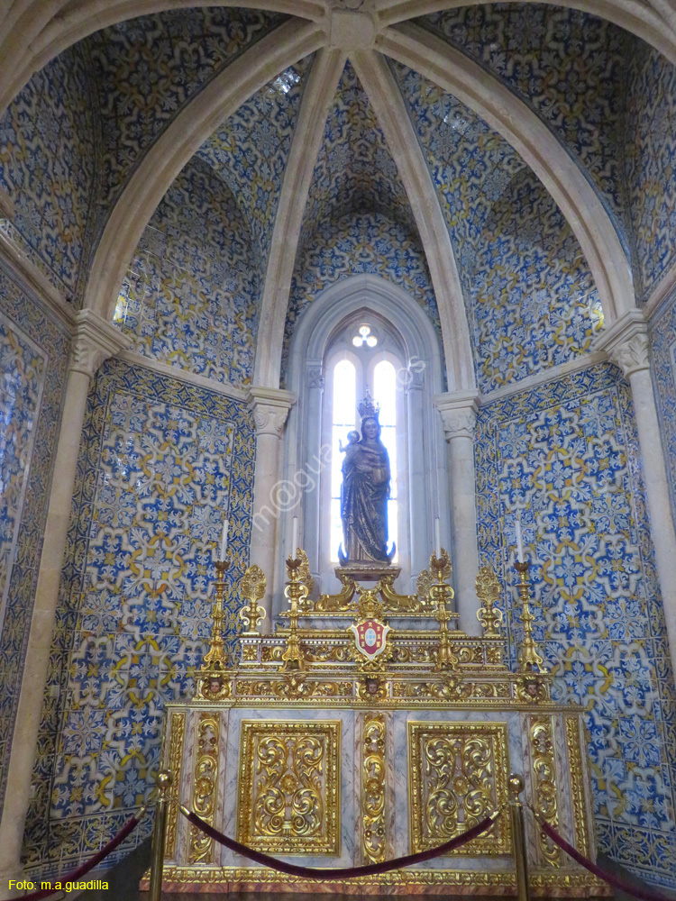 FARO (150) Catedral
