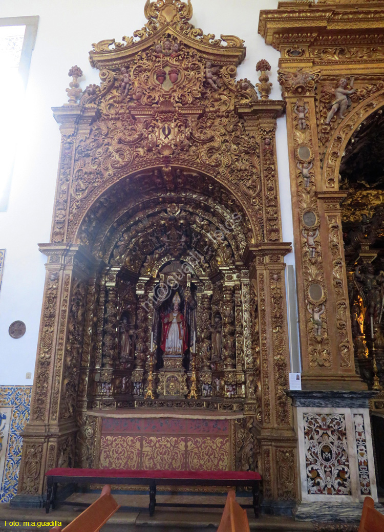FARO (157) Catedral