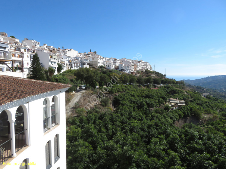 FRIGILIANA (102)