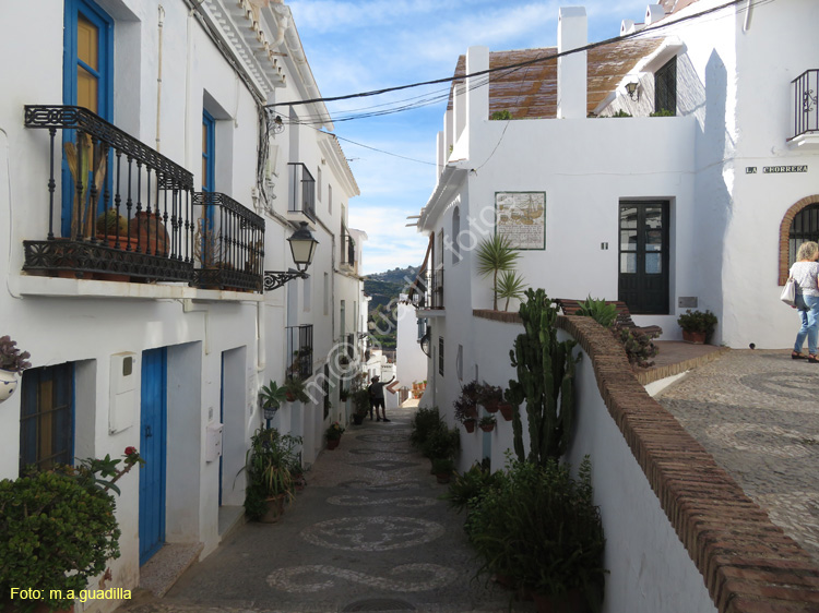 FRIGILIANA (133)