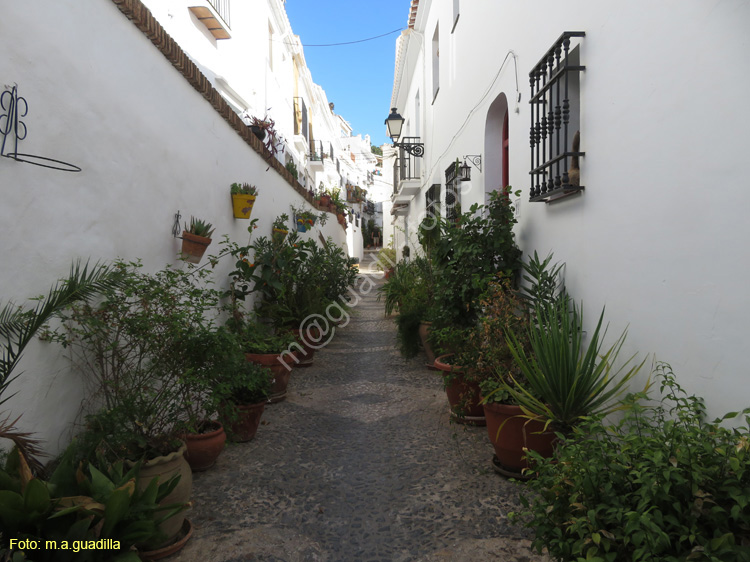 FRIGILIANA (139)