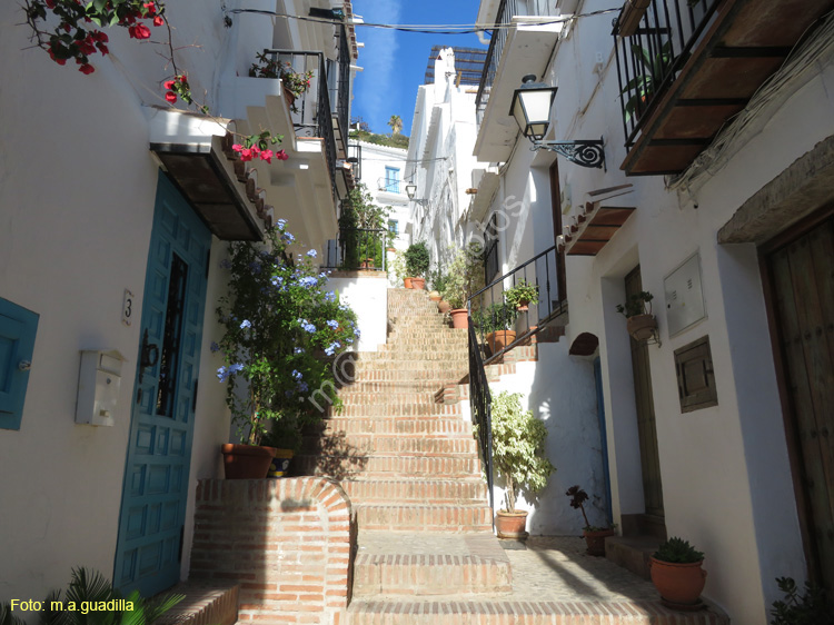 FRIGILIANA (140)