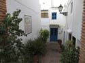 FRIGILIANA (125)