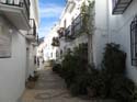 FRIGILIANA (136)