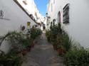 FRIGILIANA (139)