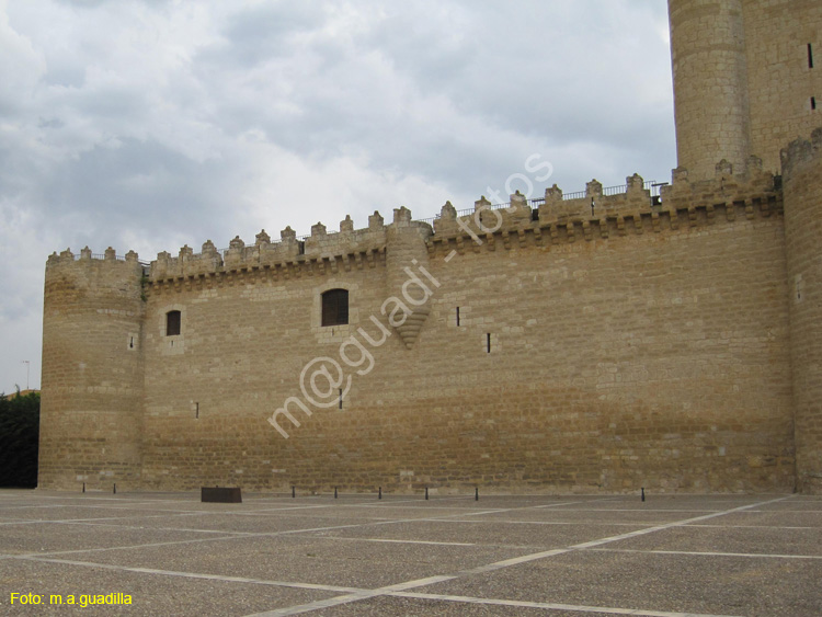 Castillo de Fuensaldaña (109)