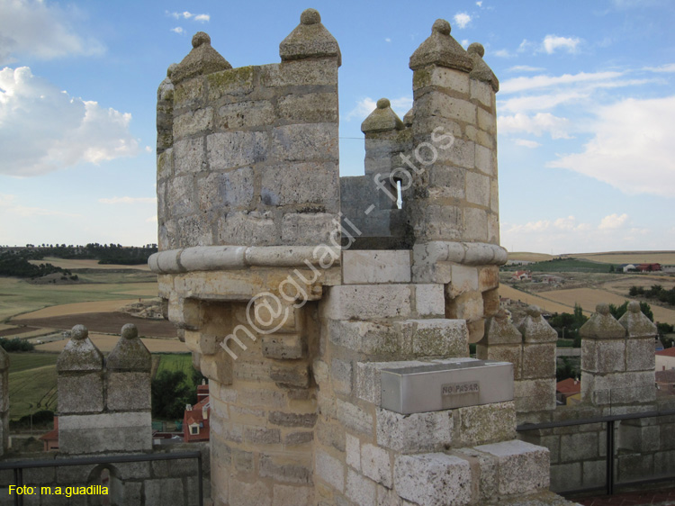 Castillo de Fuensaldaña (128)