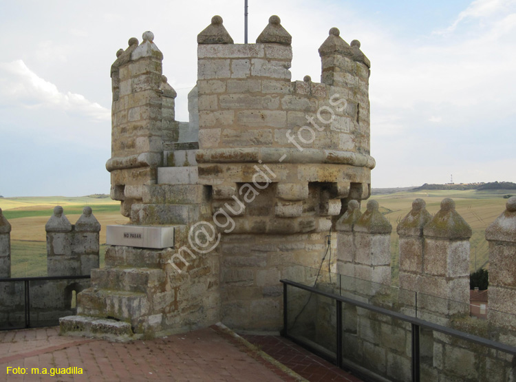 Castillo de Fuensaldaña (130)