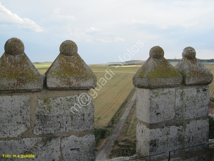 Castillo de Fuensaldaña (133)