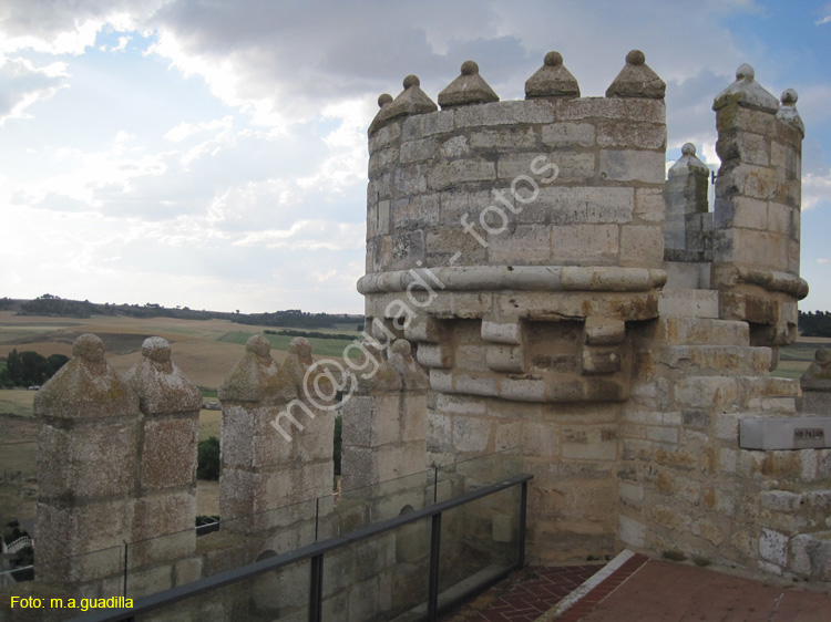 Castillo de Fuensaldaña (135)