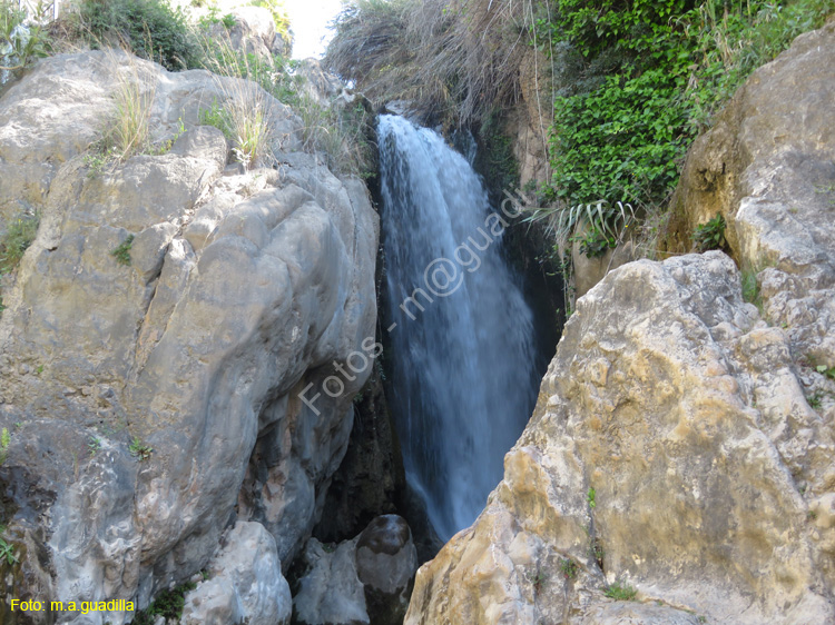 FUENTES DEL ALGAR (102)