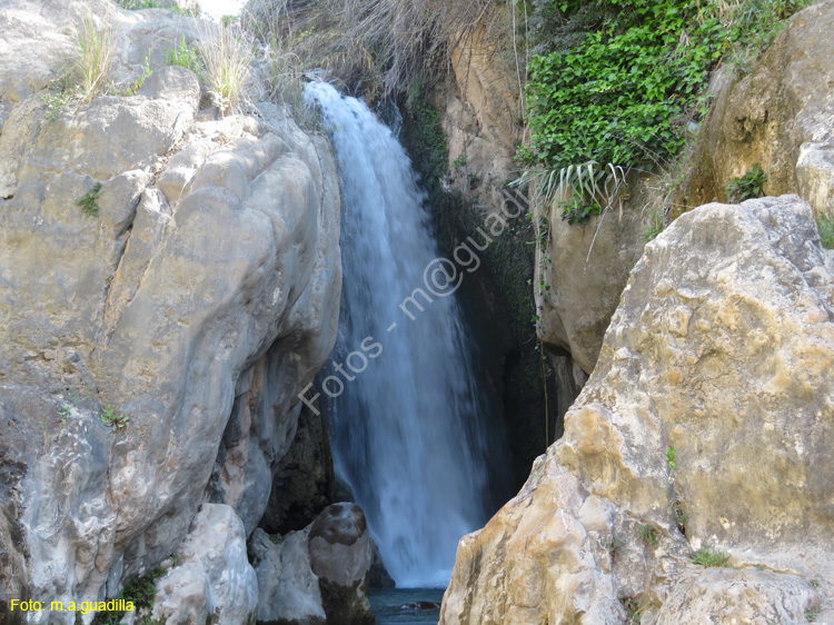 FUENTES DEL ALGAR (105)