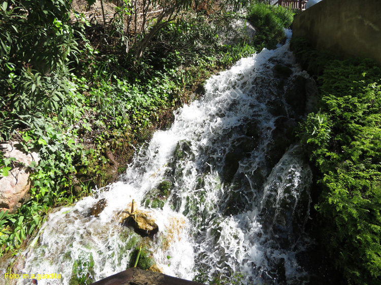 FUENTES DEL ALGAR (107)