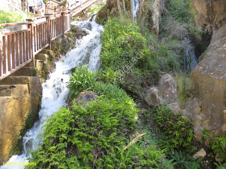 FUENTES DEL ALGAR (108)
