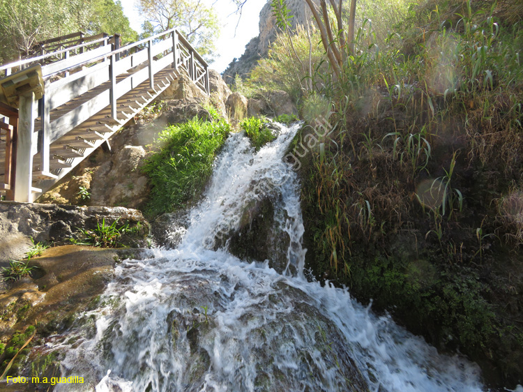 FUENTES DEL ALGAR (109)