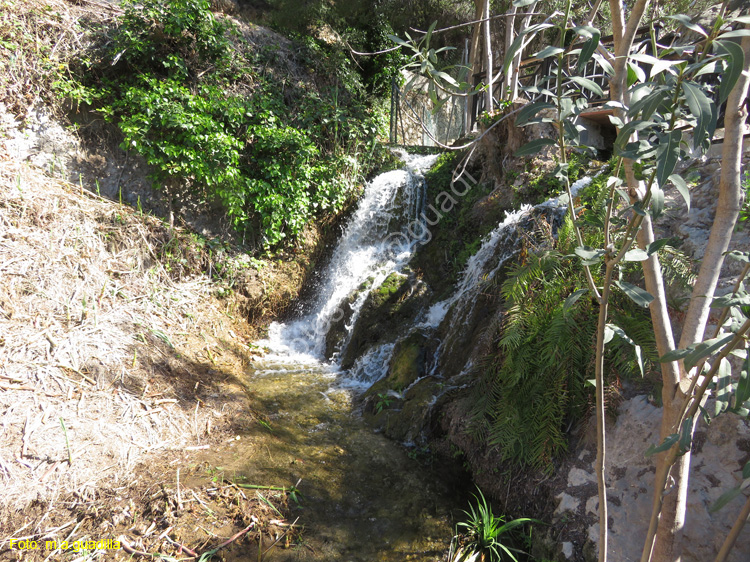 FUENTES DEL ALGAR (111)