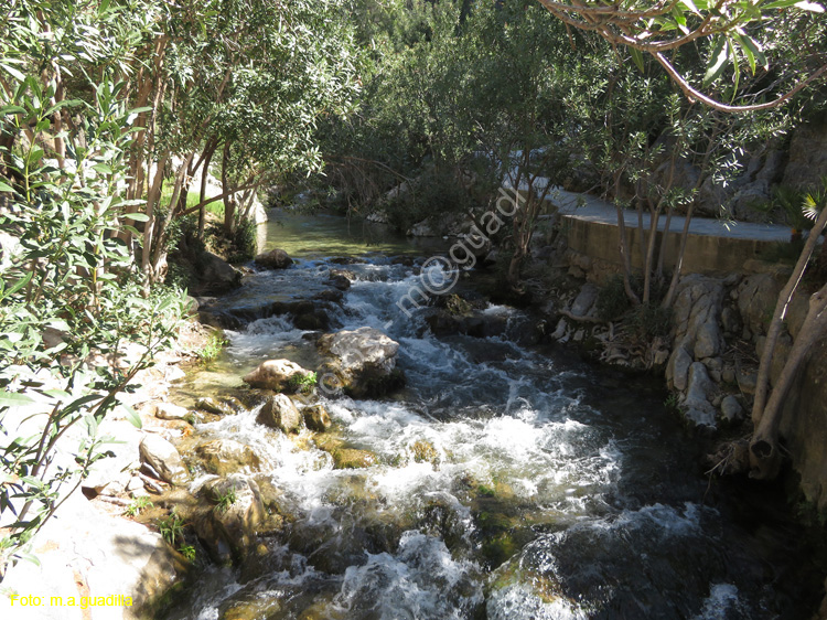 FUENTES DEL ALGAR (112)
